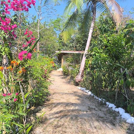 Casa Paraiso Manzanillo  외부 사진