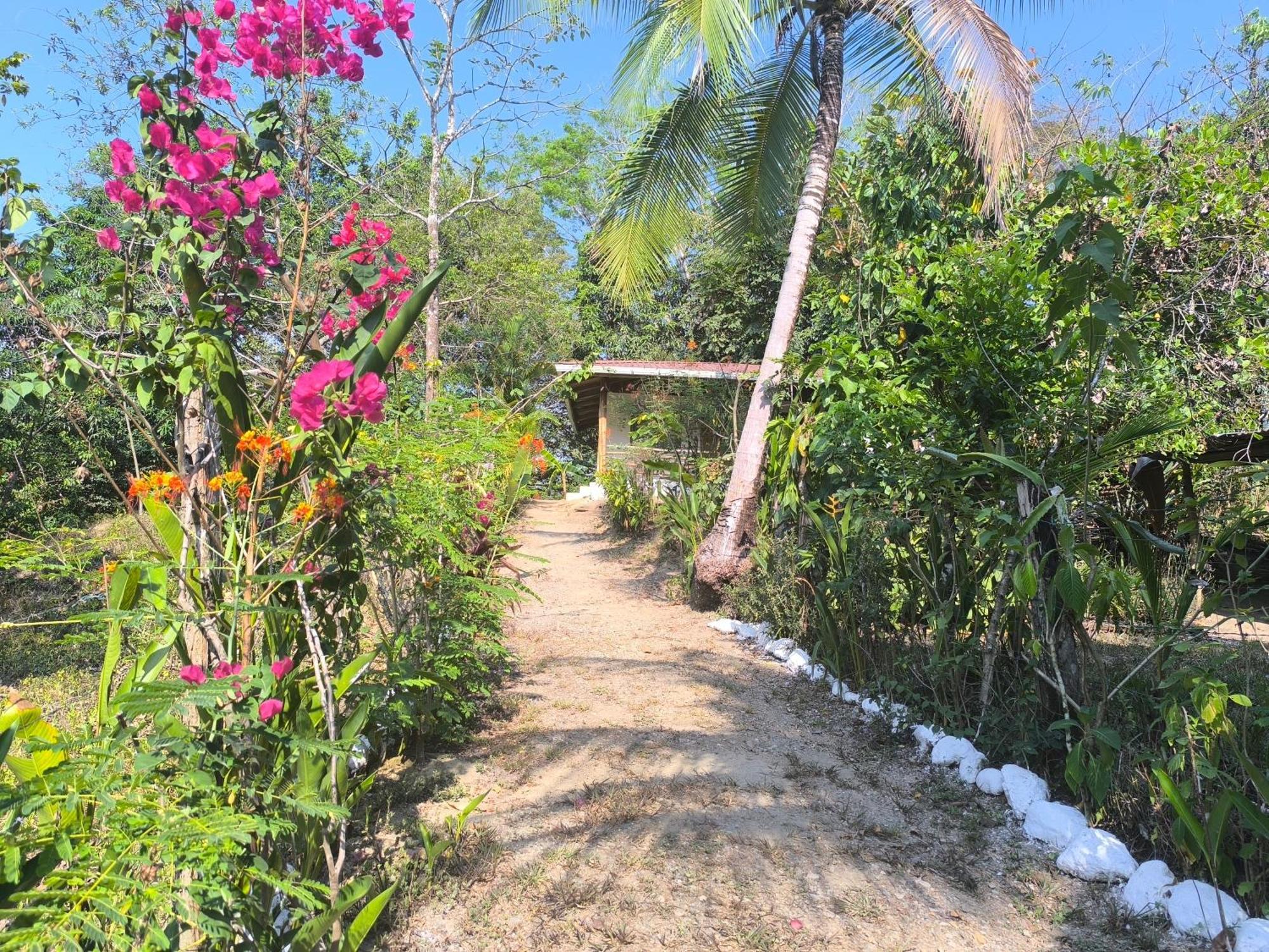 Casa Paraiso Manzanillo  외부 사진